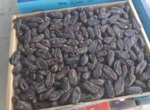 تصویر 1 از خرید خرما ربی تازه + قیمت فروش استثنایی